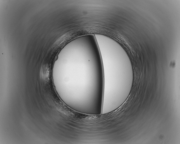 X0000096380124200801241012