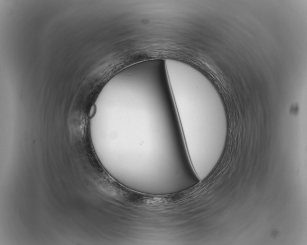 X0000096380125200801241012