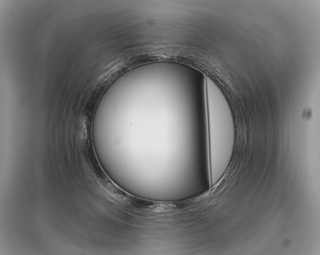 X0000096380128200801241012