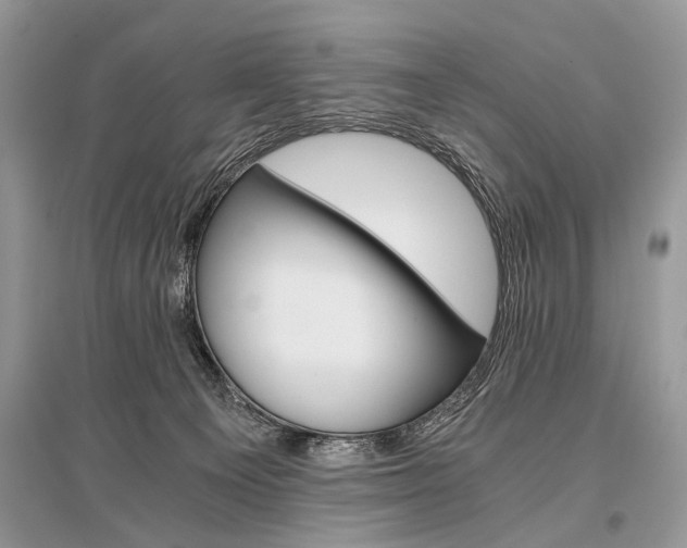 X0000096380129200801241012