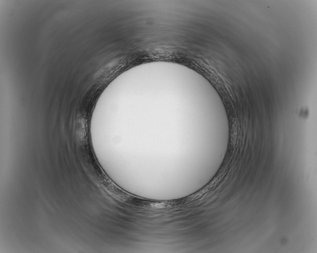 X0000096380130200801241012