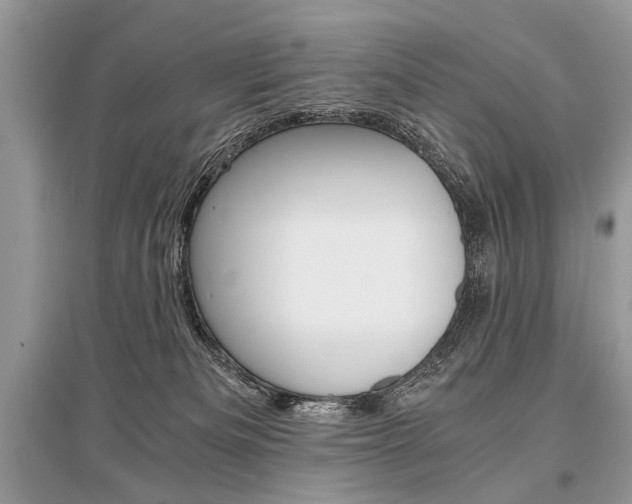 X0000096380133200801241012