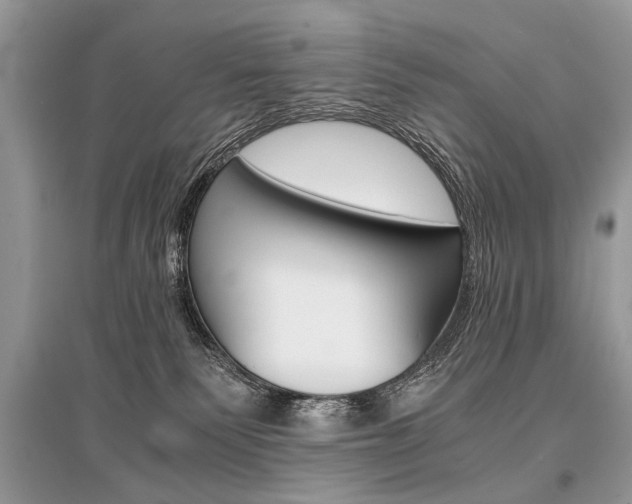 X0000096380135200801241012