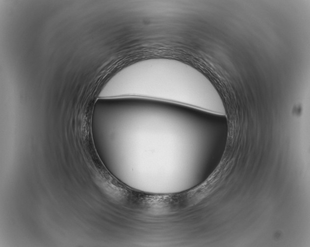 X0000096380136200801241012