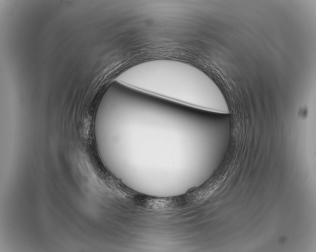 X0000096380139200801241012