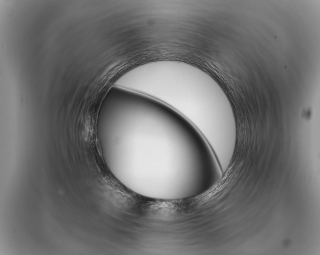 X0000096380140200801241012