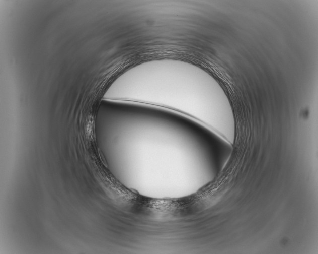 X0000096380141200801241012