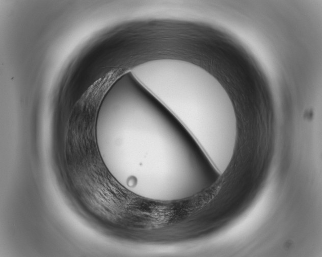 X0000096380143200801241012