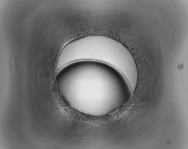 X0000096380144200801241012
