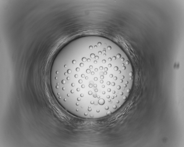 X0000096380145200801241011