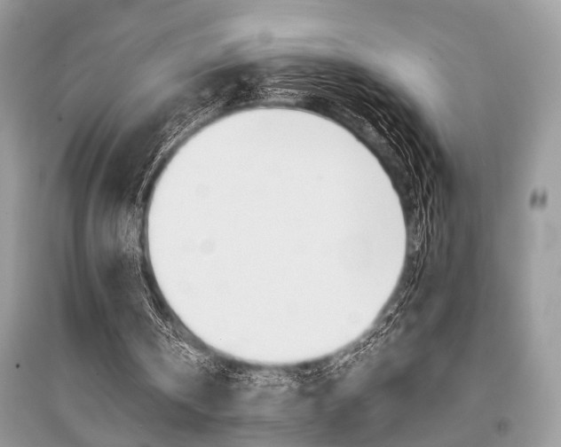 X0000096380146200801241011