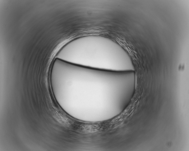 X0000096380147200801241011