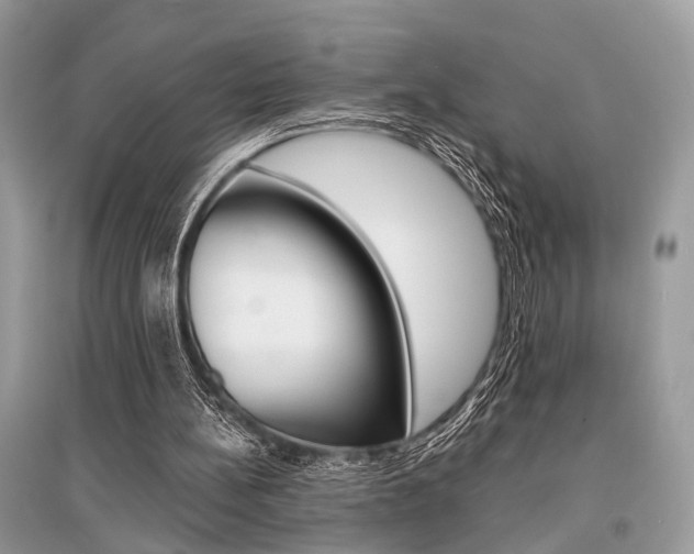 X0000096380148200801241011