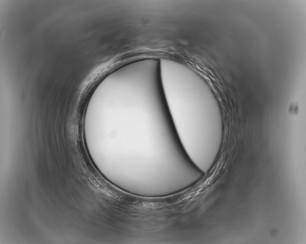 X0000096380149200801241011