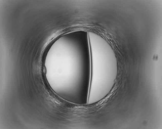 X0000096380150200801241011