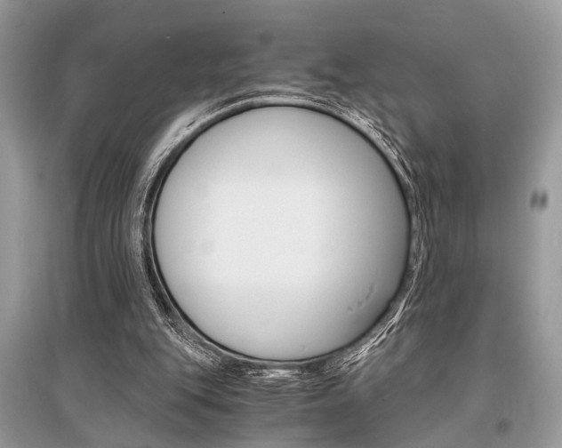 X0000096380151200801241011