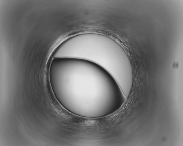 X0000096380152200801241011