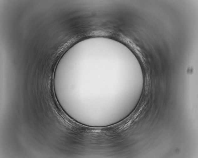 X0000096380153200801241011