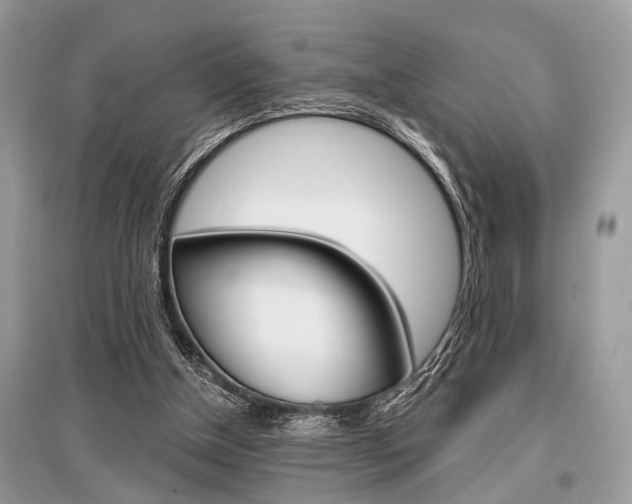 X0000096380154200801241012