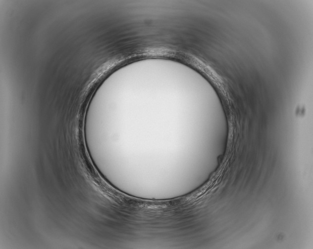 X0000096380155200801241012