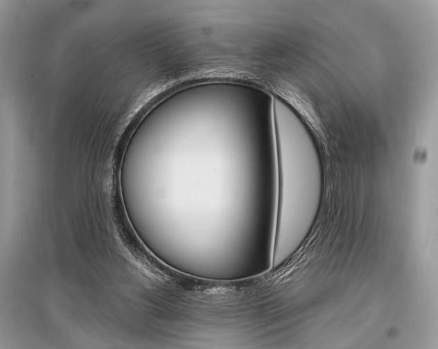 X0000096380156200801241012