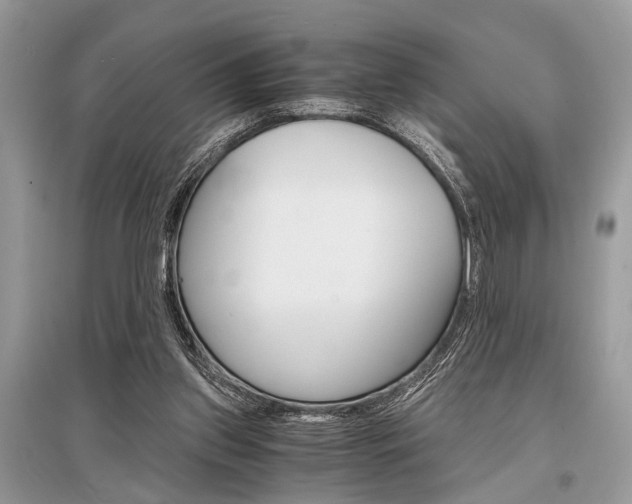 X0000096380157200801241012