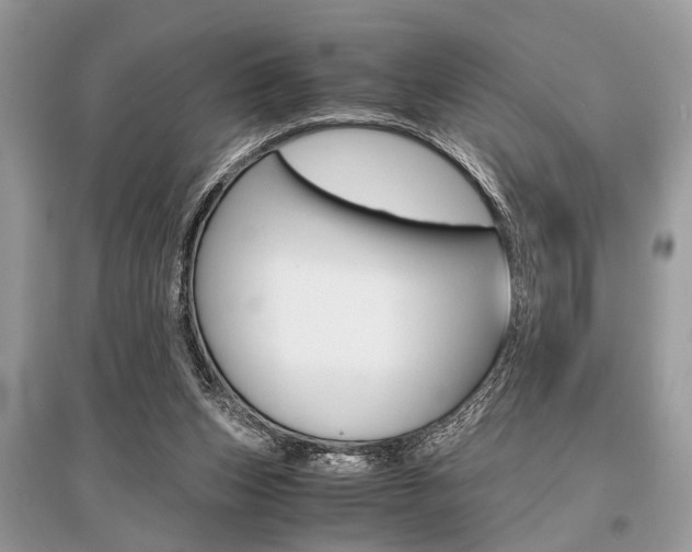 X0000096380159200801241012
