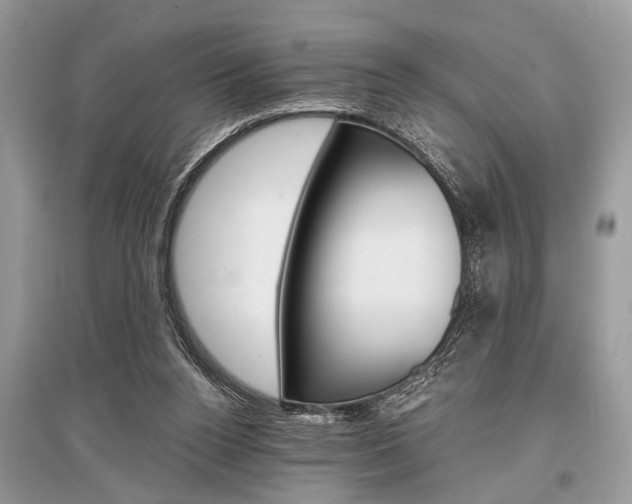 X0000096380160200801241012