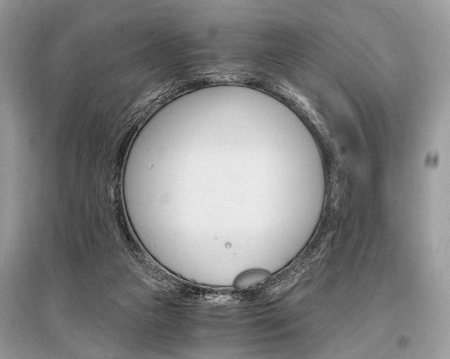 X0000096380161200801241012