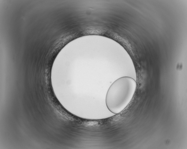 X0000096380162200801241012