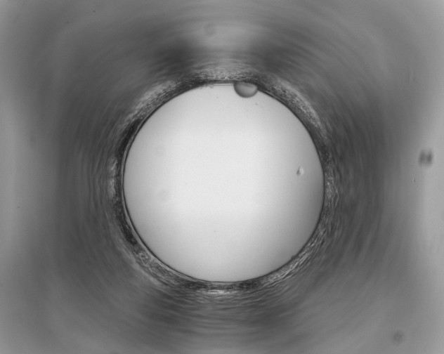 X0000096380163200801241012