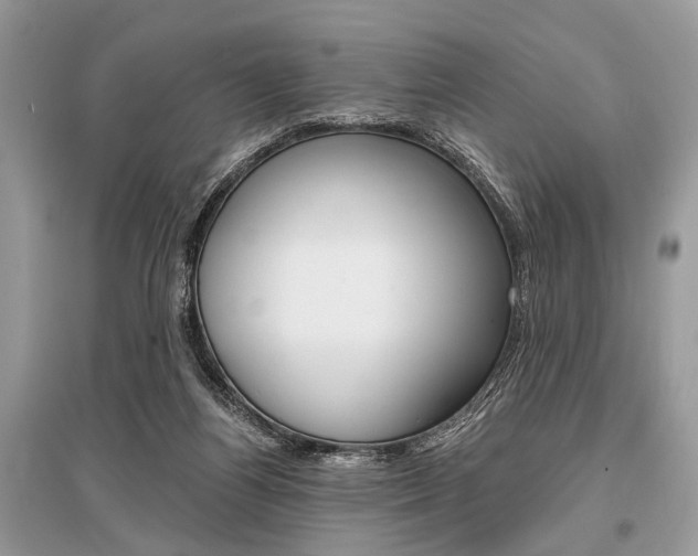 X0000096380164200801241012