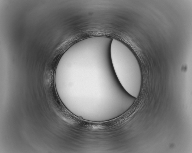 X0000096380165200801241012