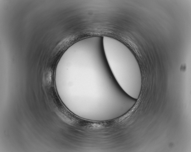X0000096380166200801241012