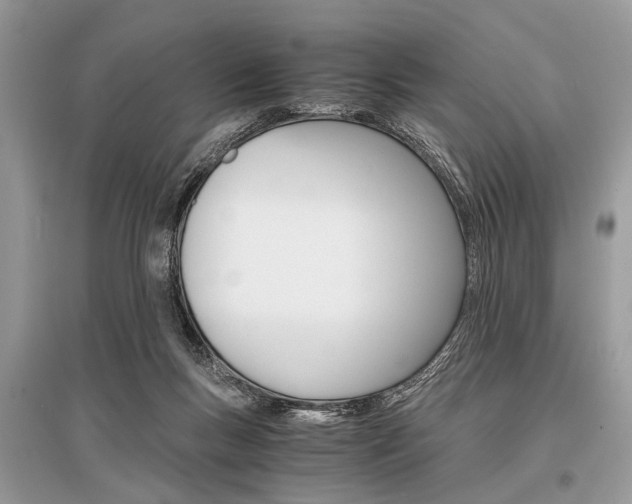 X0000096380167200801241012
