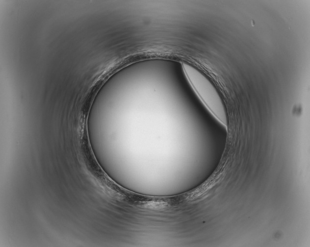 X0000096380168200801241012