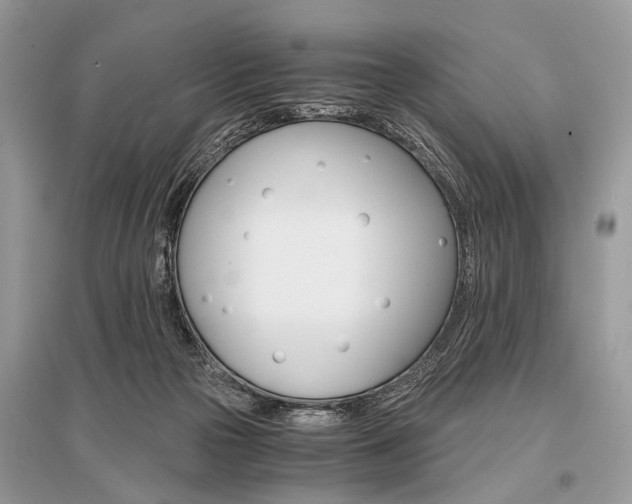 X0000096380169200801241012