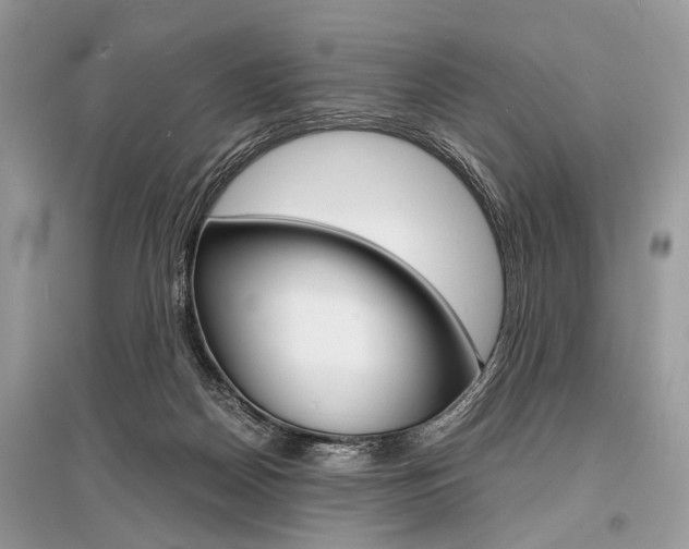 X0000096380170200801241012