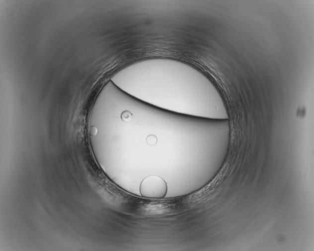 X0000096380171200801241012