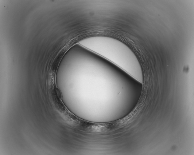 X0000096380172200801241012
