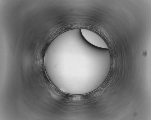 X0000096380173200801241012