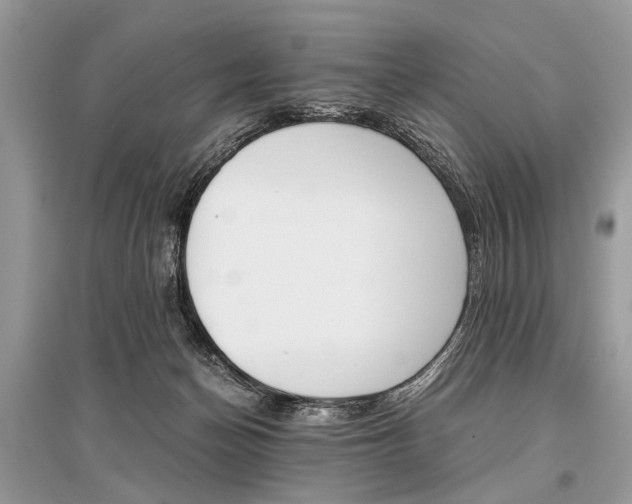X0000096380174200801241012