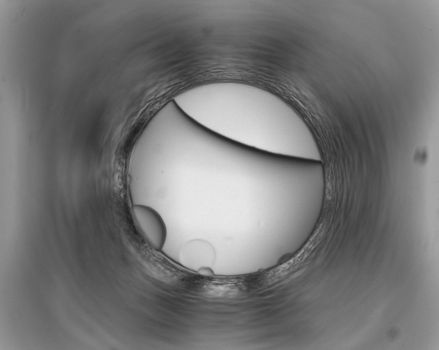 X0000096380175200801241012
