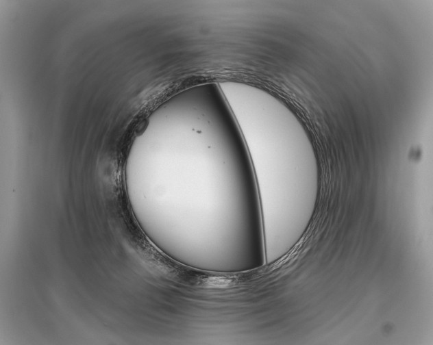 X0000096380176200801241012