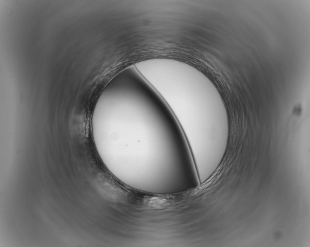 X0000096380180200801241012