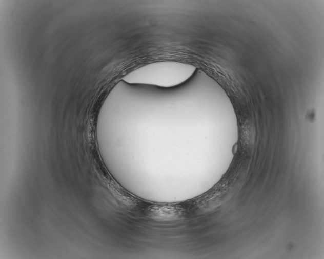 X0000096380181200801241012