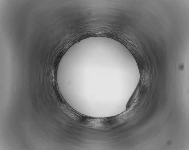 X0000096380182200801241012