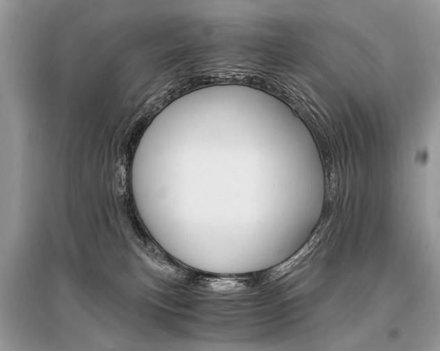 X0000096380183200801241012
