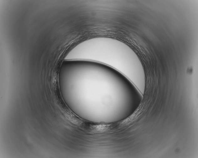 X0000096380184200801241012