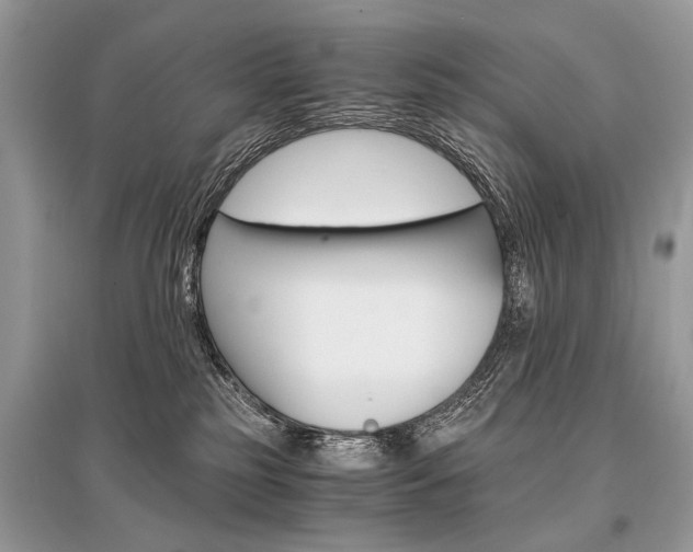 X0000096380185200801241012